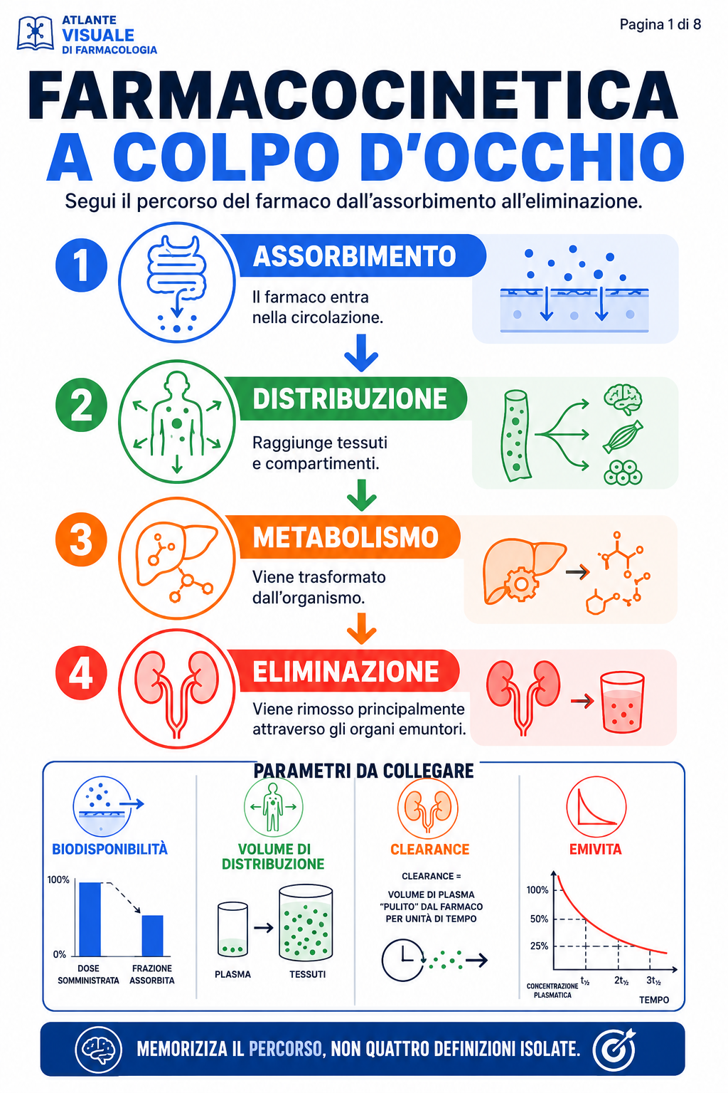Farmacocinetica a colpo d'occhio