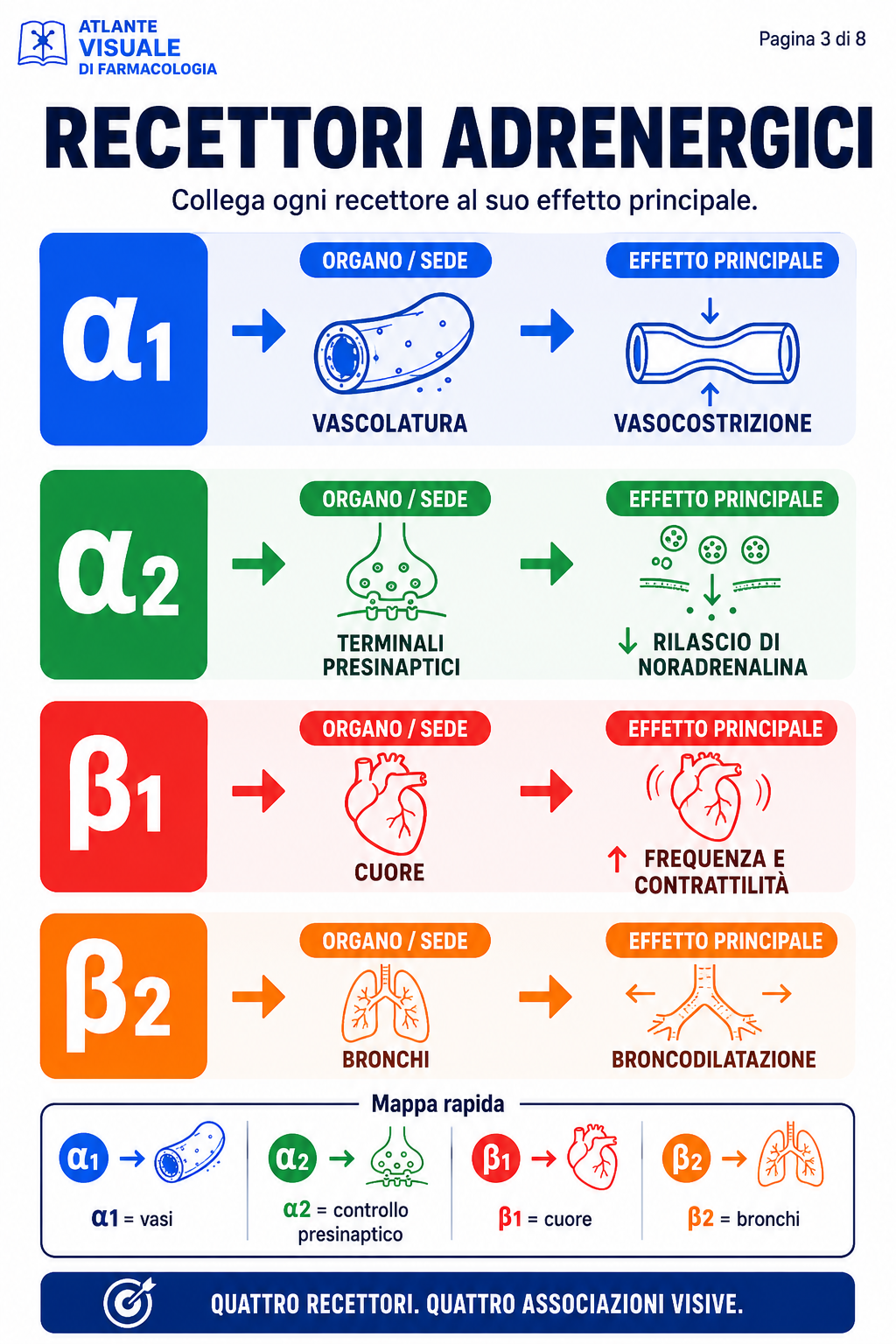 Recettori adrenergici