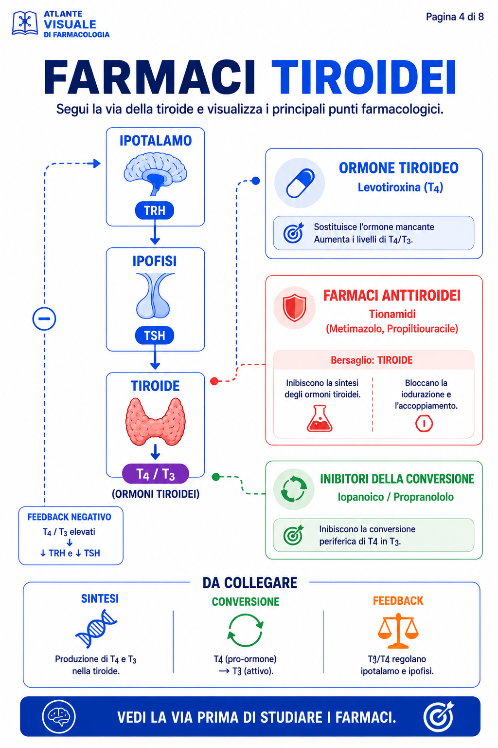 Farmaci tiroidei e feedback ormonale