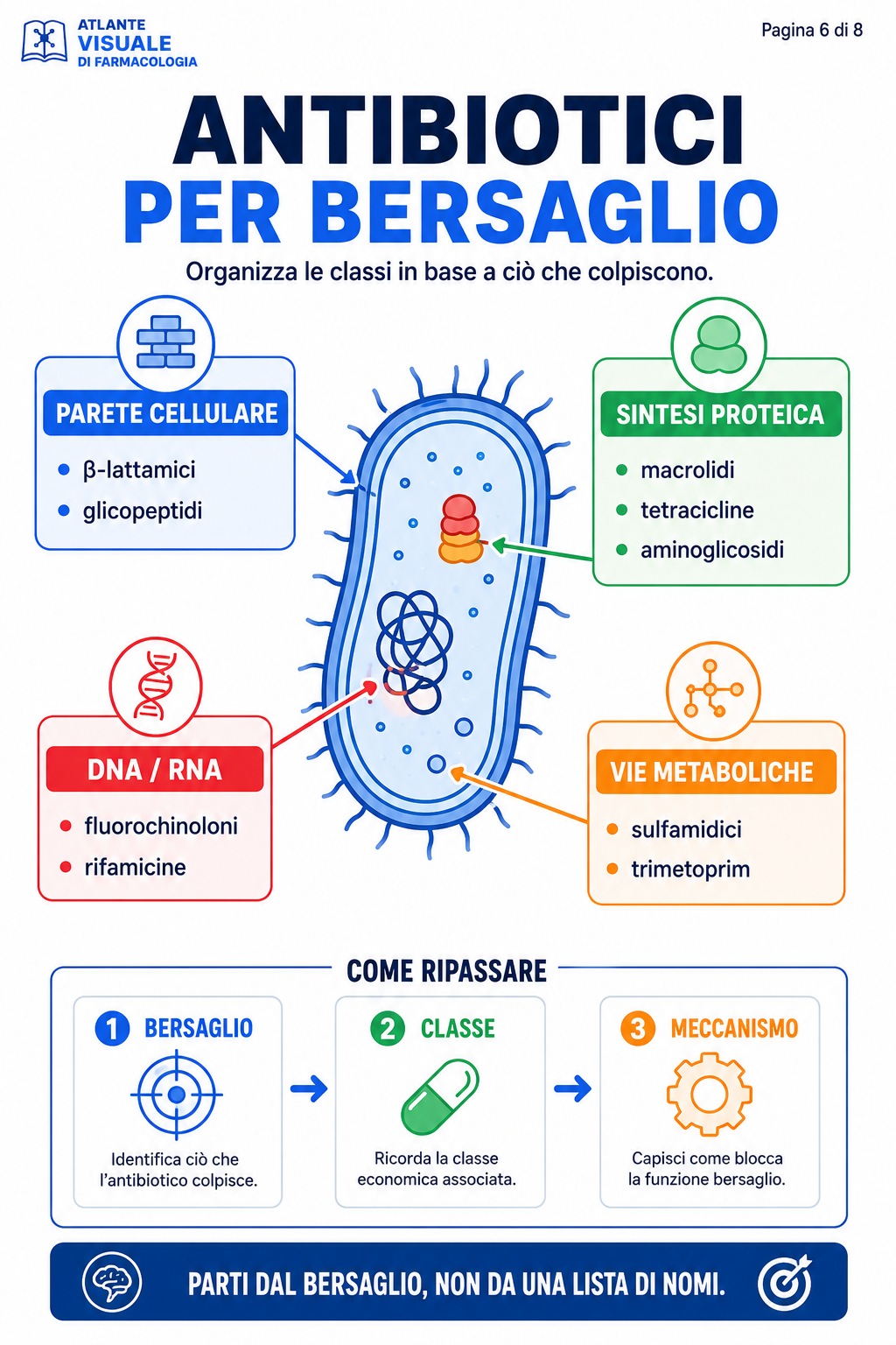 Antibiotici per bersaglio