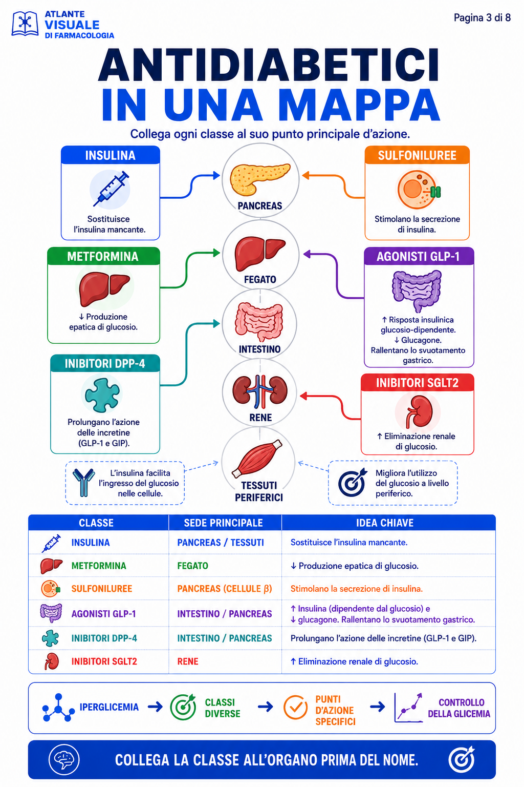 Antidiabetici in una mappa